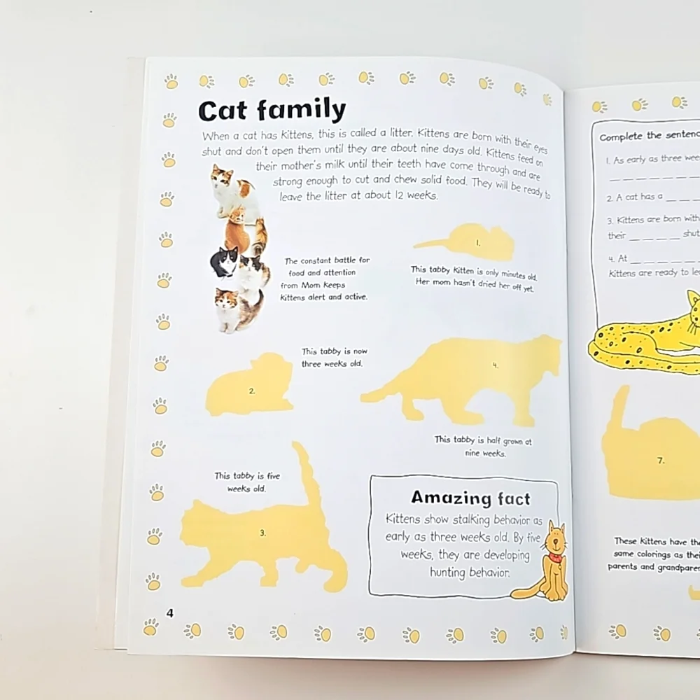 Cats & Kittens Sticker Activity Book